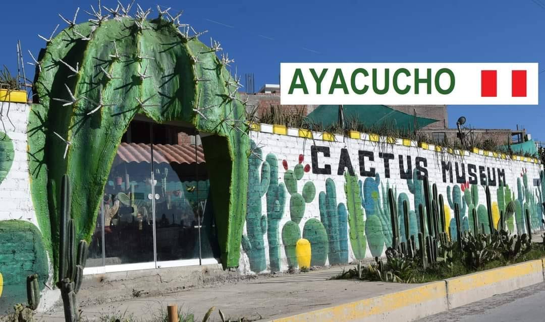 Museo de cactus - Café Ayacuchano